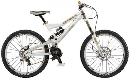 Mongoose Boot R Team